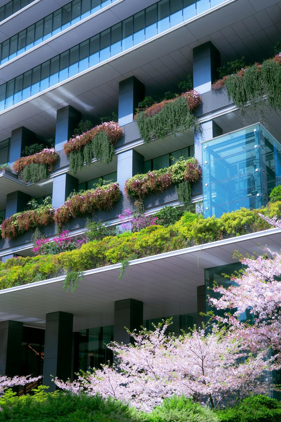 Sustainable commercial building